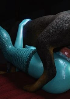 Canine Therapy (9)