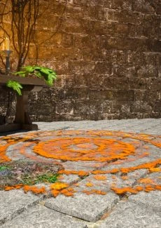 Casting a Spell (6)