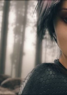 Into The Woods (20)