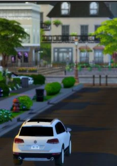 Carnival Parade (429)