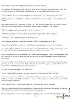 Miraculous Ladybug zine (52)