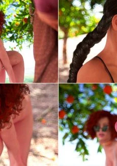 Orange Garden (8)