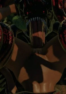 The Jungle Cow (137)
