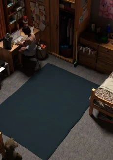 The Roommate (19)