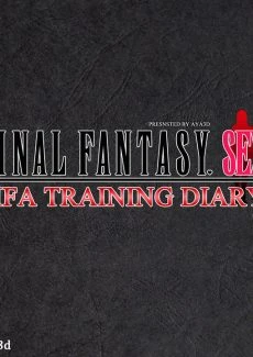 Tifa training diary (3)