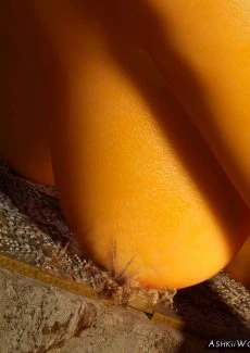 A Toy For a Princess (103)