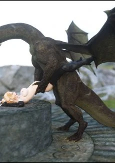 Dragon Rider (23)