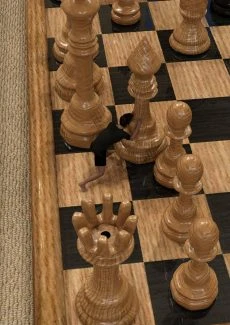 Lost Game (70)