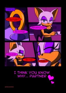 Murasaki- Partners [Sonic The Hedgehog] (5)