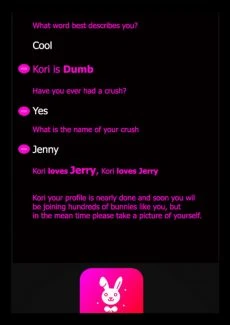 Pink Bunny 1 (18)