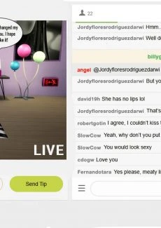 The Rise and Fall of a Webcam Girl (3)