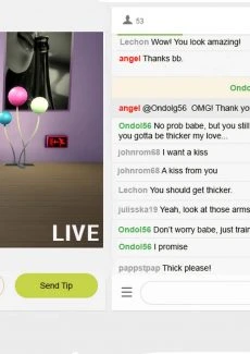 The Rise and Fall of a Webcam Girl (4)