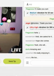 The Rise and Fall of a Webcam Girl (8)