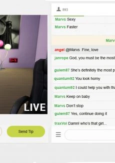 The Rise and Fall of a Webcam Girl (9)