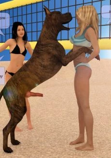 Beach Volleyball (11)
