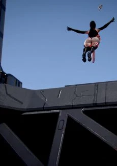Flying High (50)