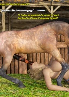 Foal fun 6