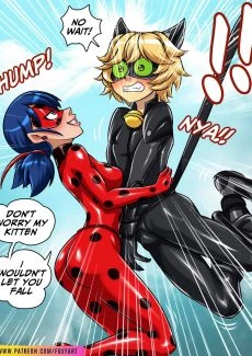 Miraculous Ladybug (38)