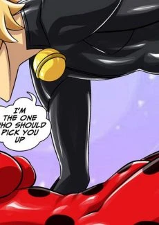 Miraculous Ladybug (41)