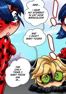 Miraculous Ladybug (48)