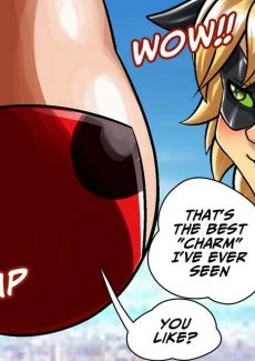 Miraculous Ladybug (56)