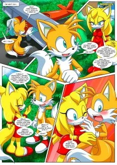 Palcomix- Sonic’s Guide To Spanking (13)