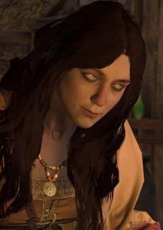 The Witcher (1)