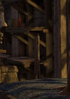 The Witcher (12)