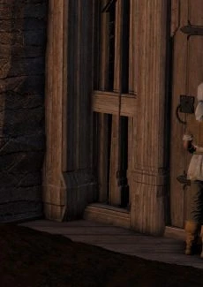The Witcher (2)