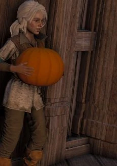The Witcher (31)