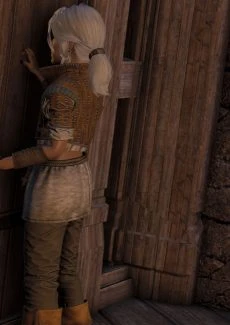 The Witcher (4)