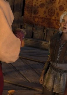 The Witcher (6)