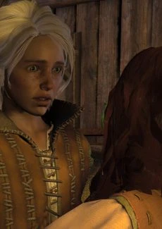The Witcher (8)