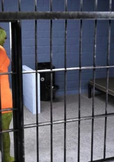Elf Prison (3)