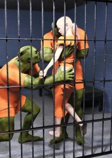 Elf Prison (9)