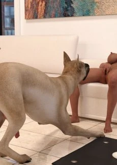Full Body Workout (43)