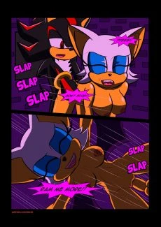 Murasaki- Partners [Sonic The Hedgehog] (12)