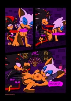 Murasaki- Partners [Sonic The Hedgehog] (13)