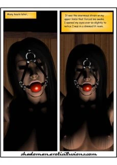 Perlious Journey (16)