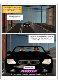 Deceptive Arrangement (10)