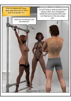 Doll House (106)