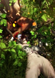 Fabianas Pitfall (75)