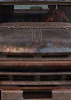 The Farm Girl (46)