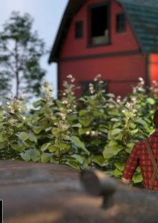 The Farm Girl (48)