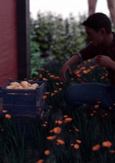 The Farm Girl (52)