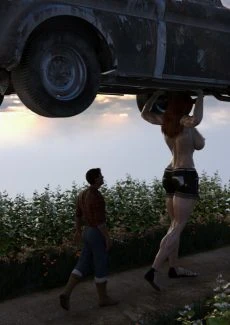 The Farm Girl (82)