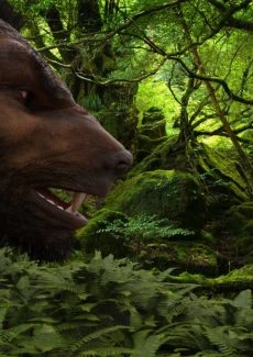 Werewolf (5)