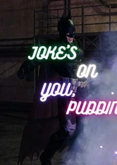 Batman Jokes On You (17)