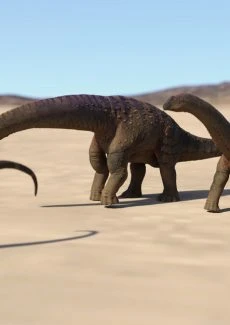 Prehistoric Journey (48)