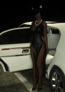 Thisa’s Limo (3)